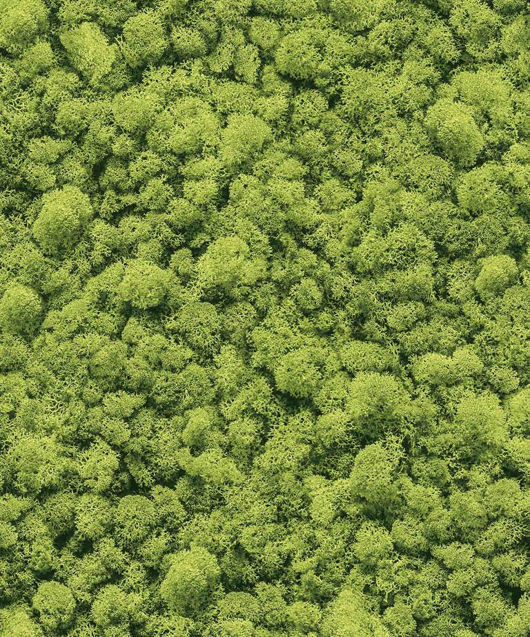 Excel 4013-1 Vinyl with Paper Back Green Nature Wallpaper for Bedroom & Living room